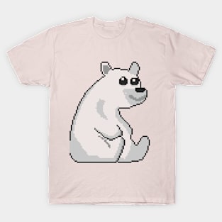 Polar Dreams T-Shirt